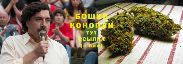 спиды Алексин